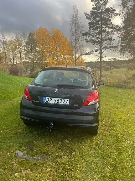 Peugeot 207 2011 photo 5