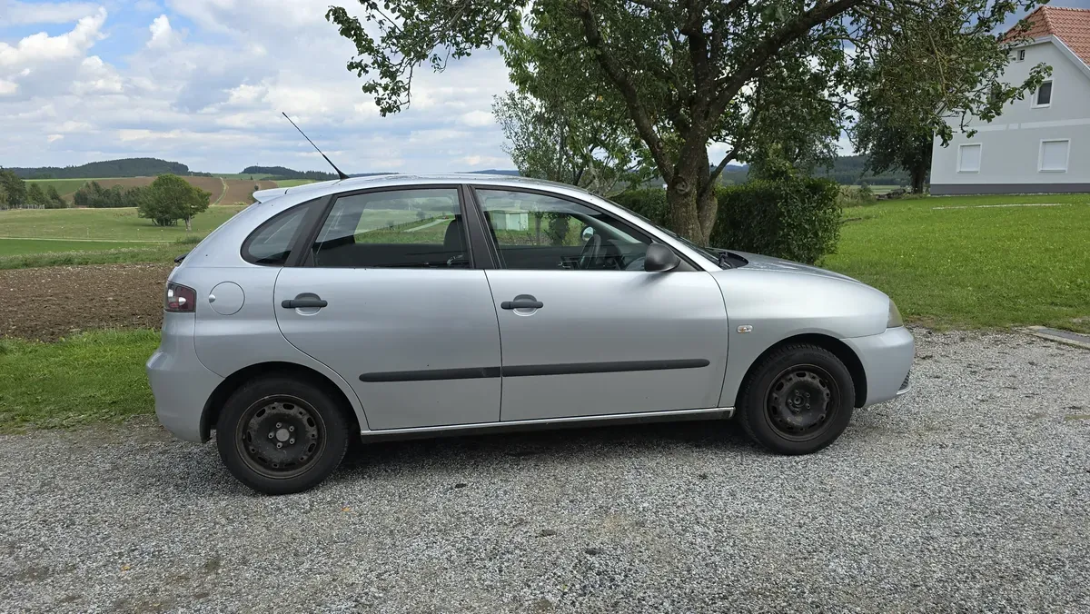Seat Ibiza 2008 photo 2