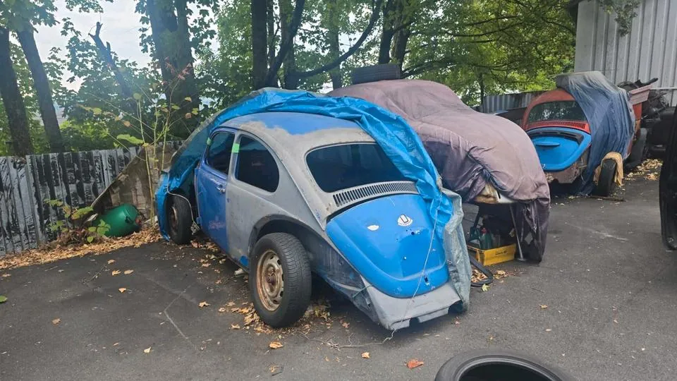 Volkswagen Beetle