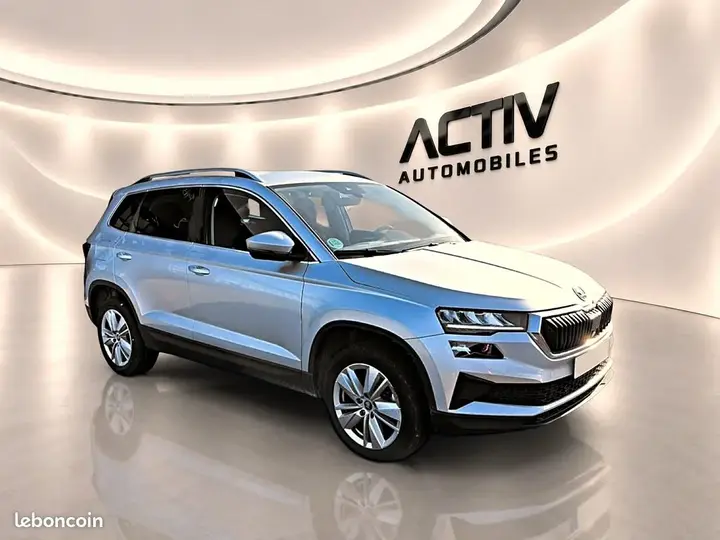 Skoda Karoq 2025 photo 3