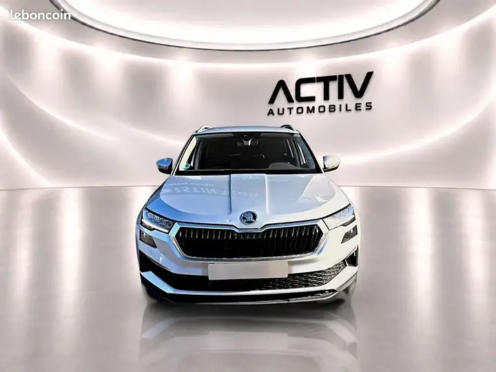Skoda Karoq 2025 photo 2