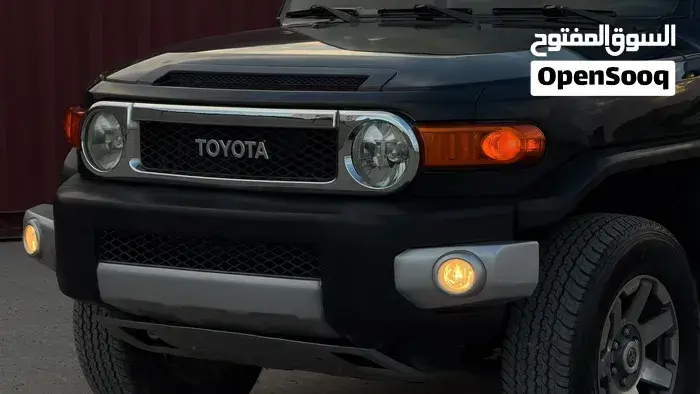 Toyota Fj 2009 photo 4