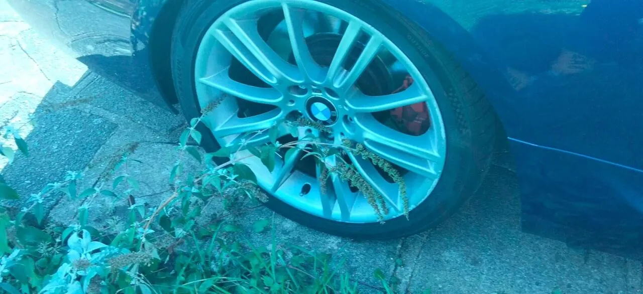 BMW 3 Series 2007 photo 5