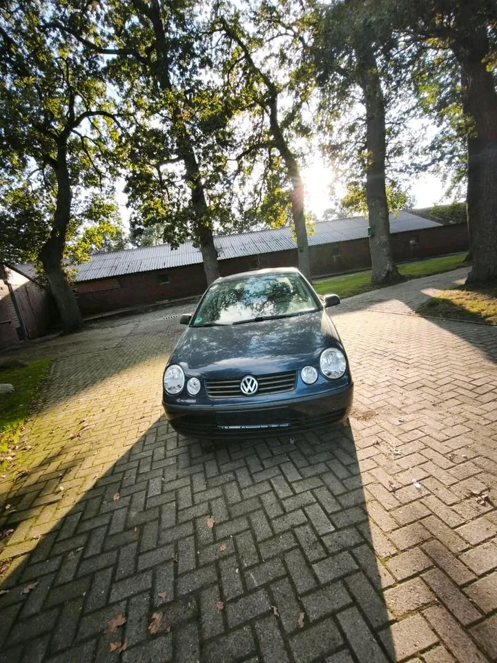 Volkswagen Polo 9N