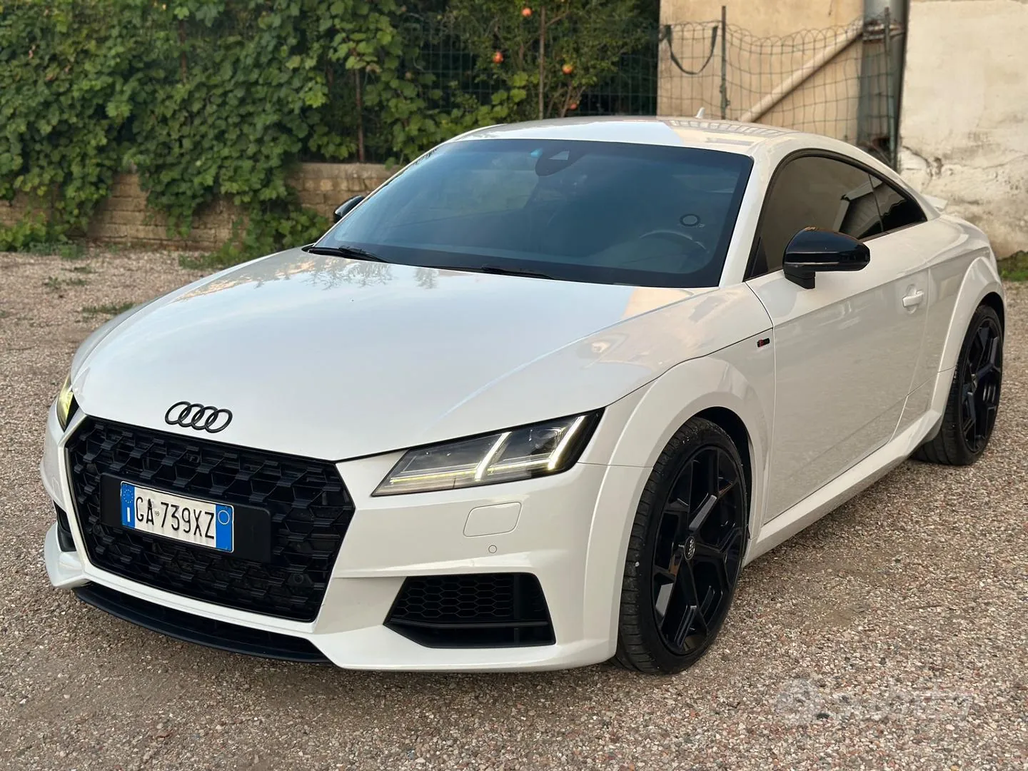Audi Tt