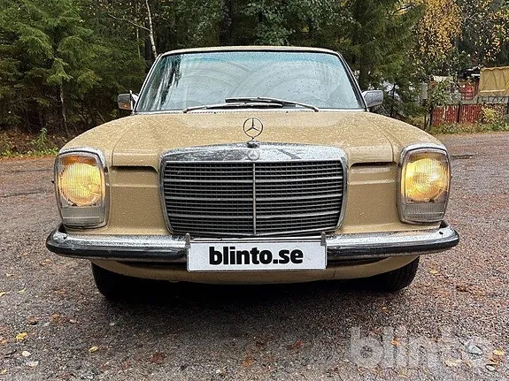 Mercedes-Benz 220 1975 photo 2