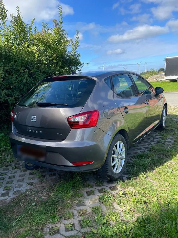 Seat Ibiza Style