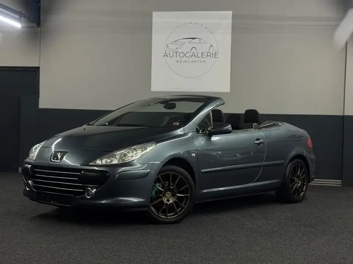 Peugeot 307 Cc Cabrio