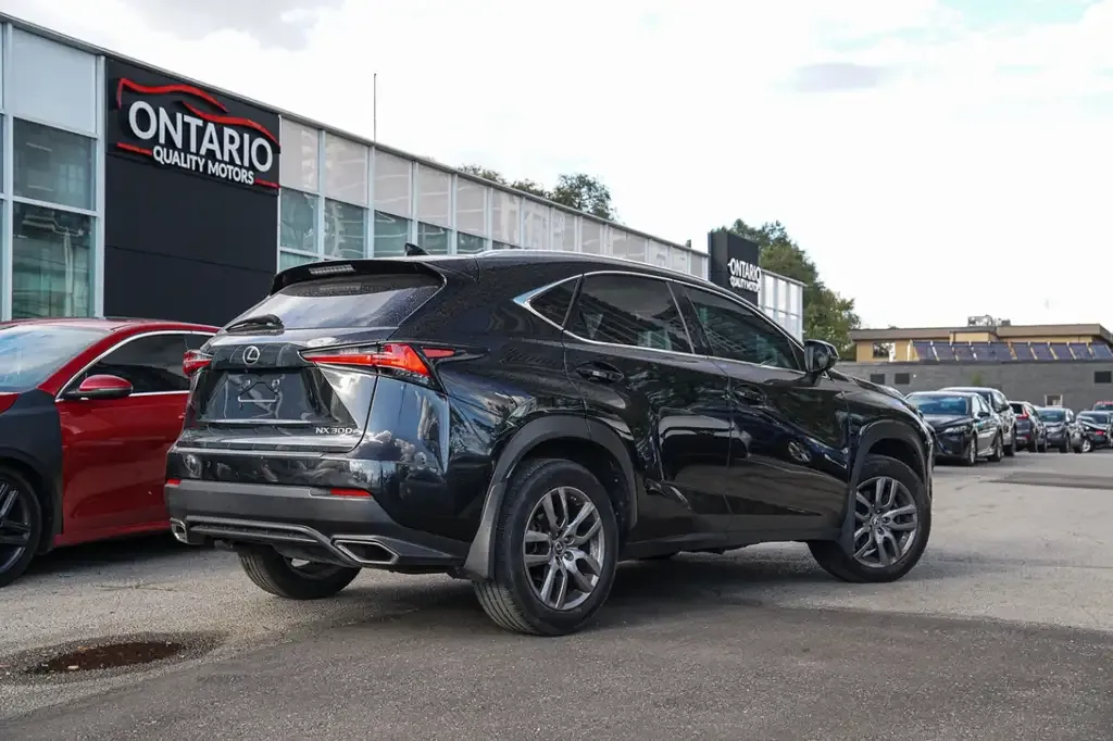 Lexus Nx 2019 photo 4