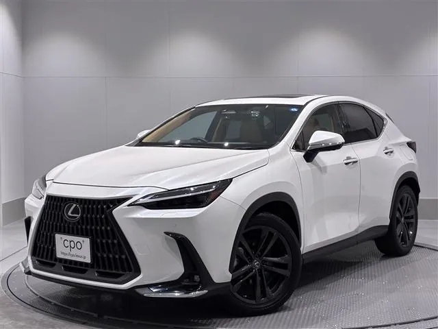 Lexus Nx250