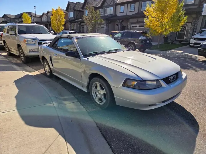 Ford Mustang 2003 photo 2