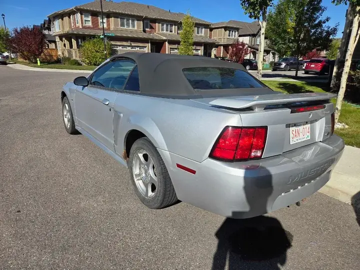 Ford Mustang 2003 photo 3