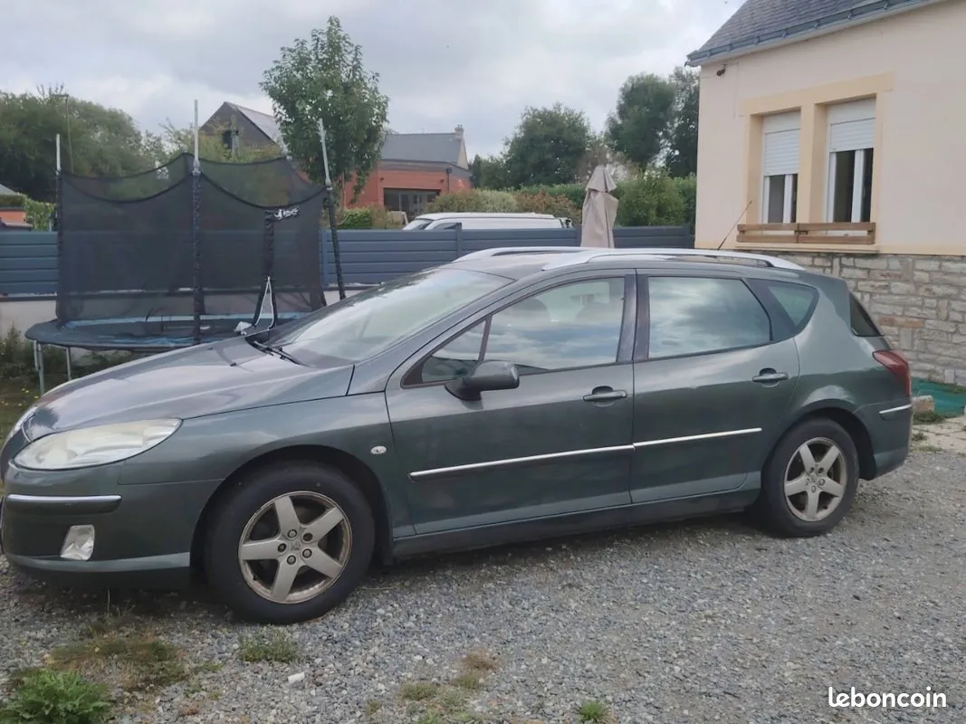 Peugeot 407 2008 photo 2