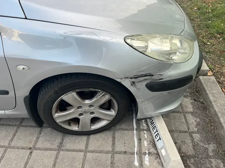 Peugeot 307 2006 photo 2