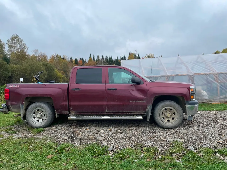 Chevrolet Silverado 1500 2015 photo 2