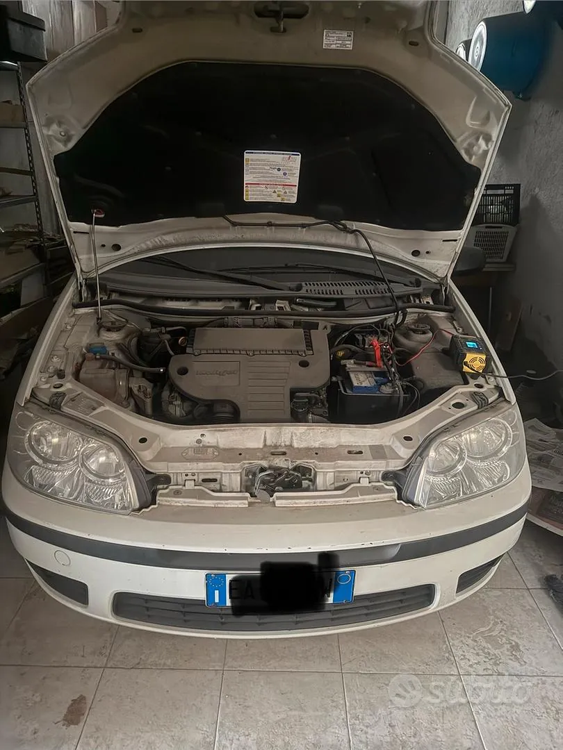 Fiat Punto 2010 photo 2