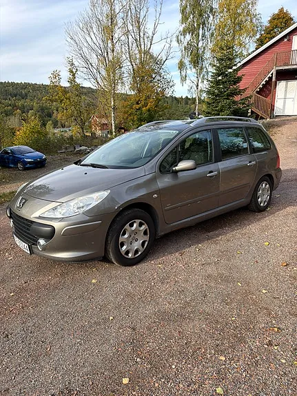 Peugeot 307 Sw 2006 photo 3