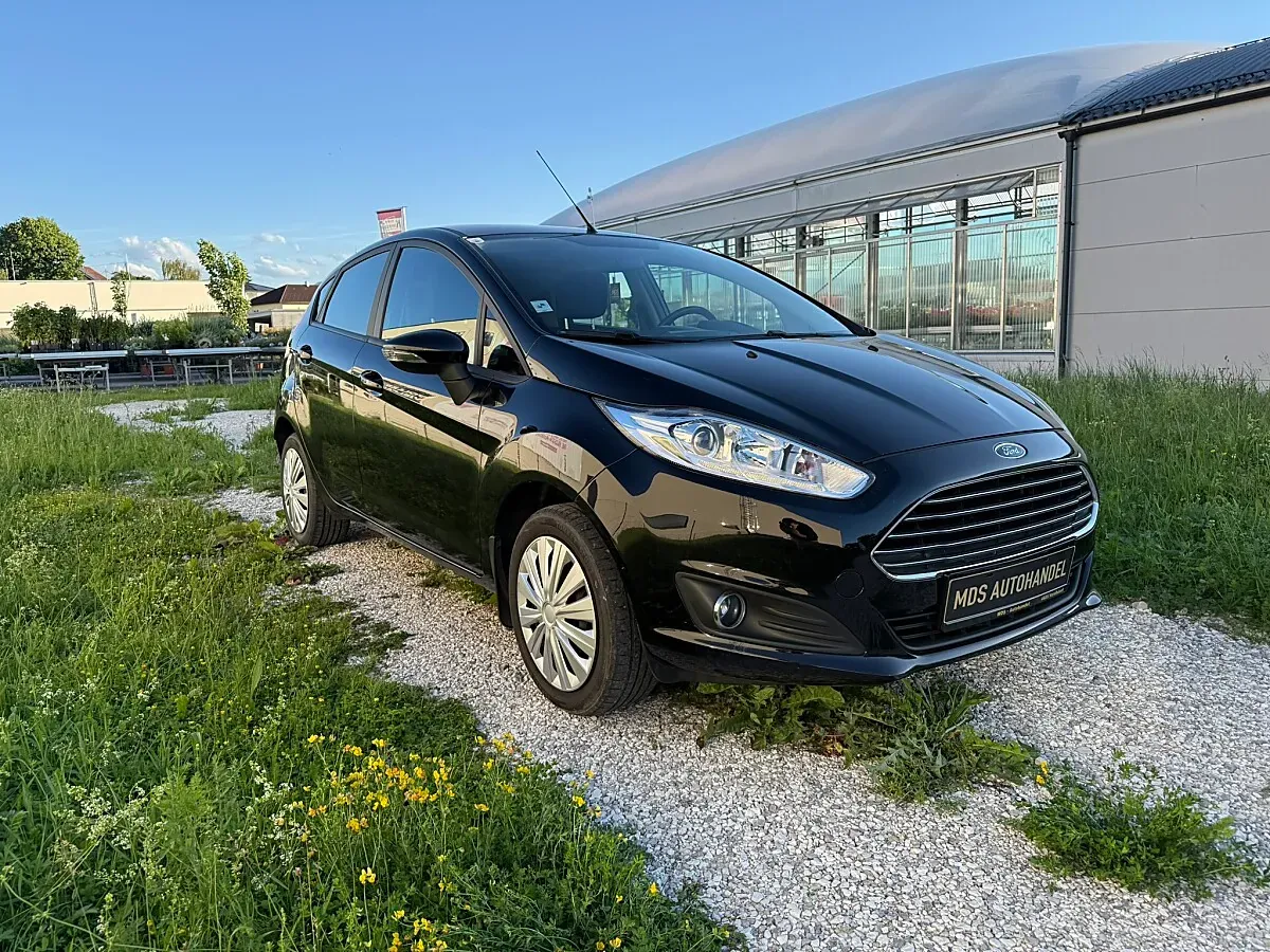 Ford Fiesta 2015 photo 2