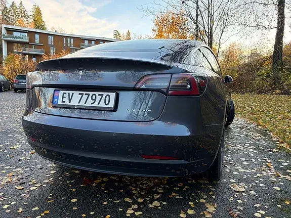 Tesla Model 3 2019 photo 5