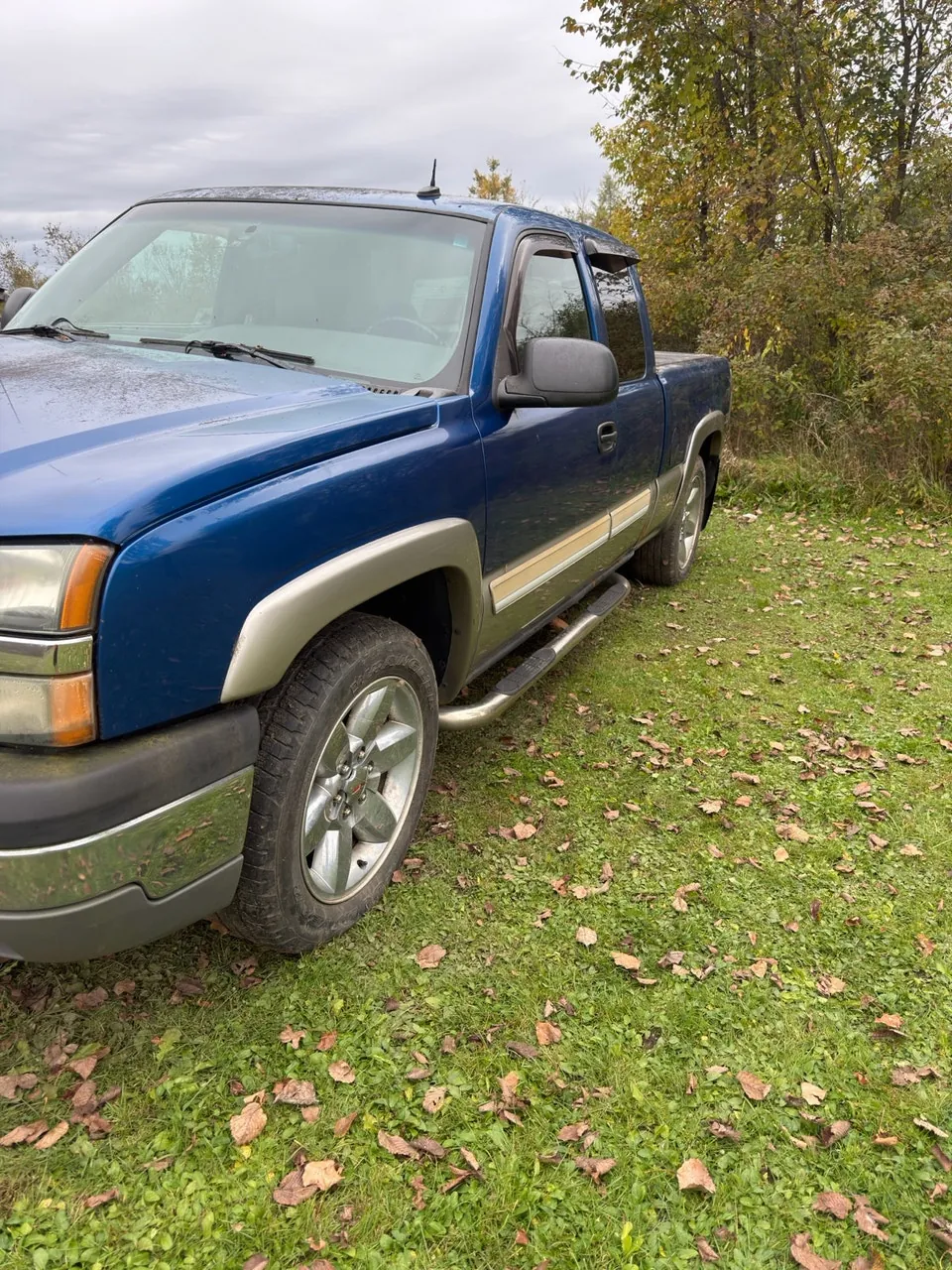 Chevrolet Silverado 1500 2003 photo 2