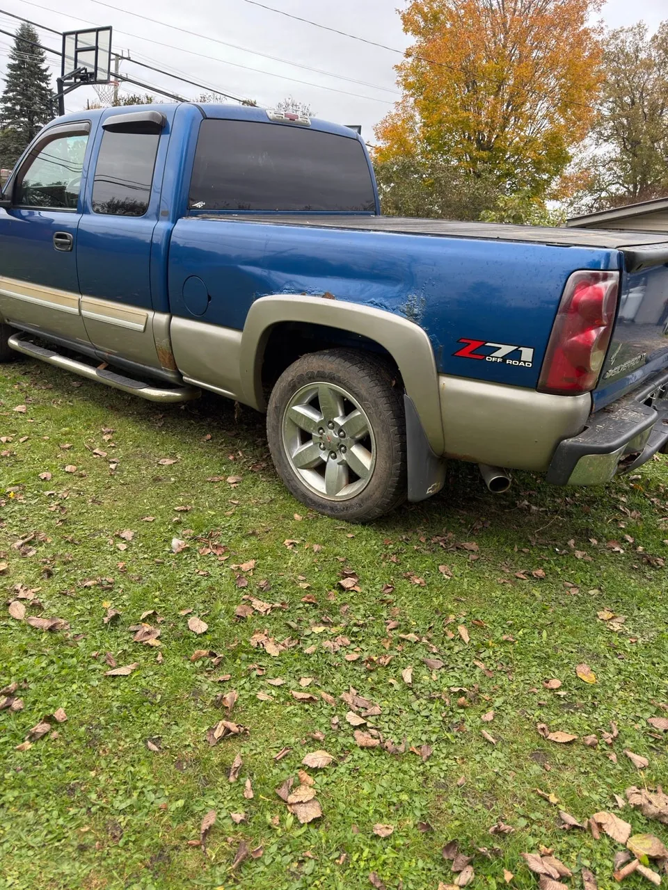 Chevrolet Silverado 1500 2003 photo 3