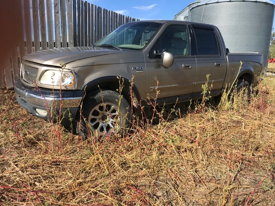 Ford F-150 2001 photo 2