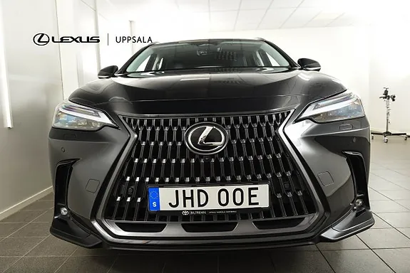 Lexus Nx450H+ 2024 photo 4
