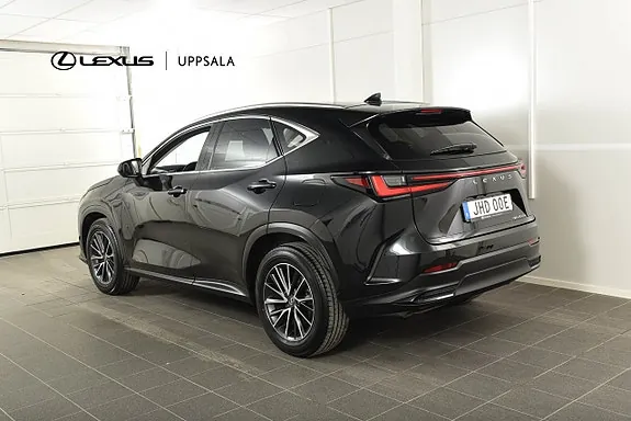 Lexus Nx450H+ 2024 photo 3