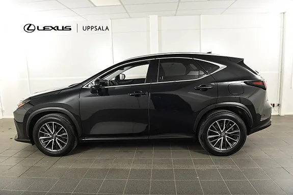 Lexus Nx450H+ 2024 photo 2