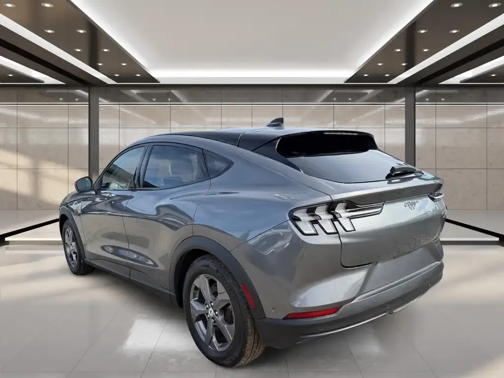 Ford Mustang Mach-E 2023 photo 3