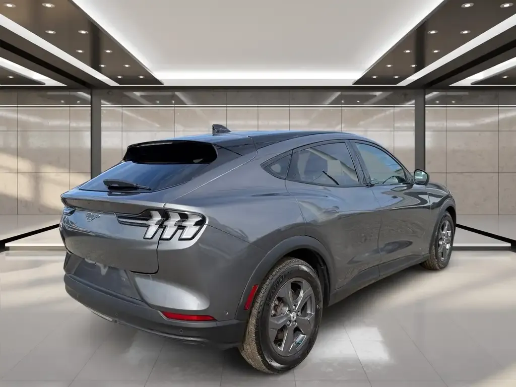 Ford Mustang Mach-E 2023 photo 4