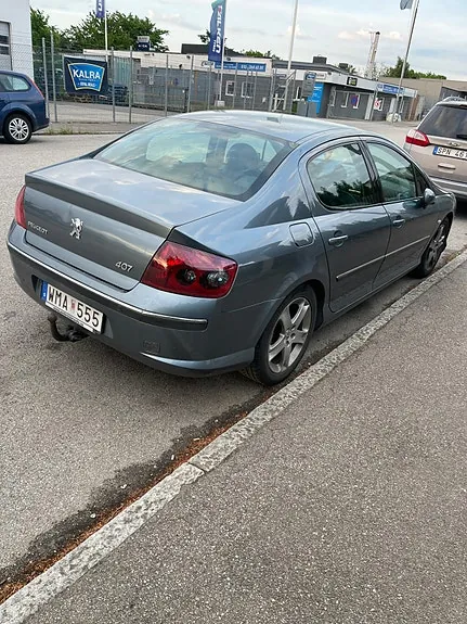 Peugeot 407 2005 photo 5