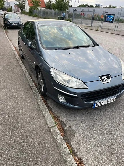 Peugeot 407 2005 photo 2