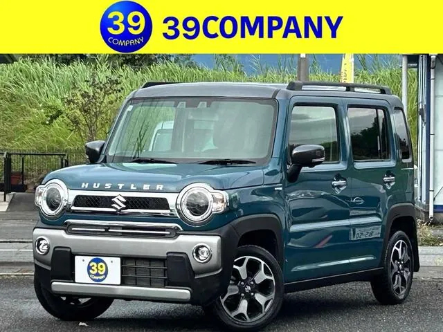 Suzuki Hausa