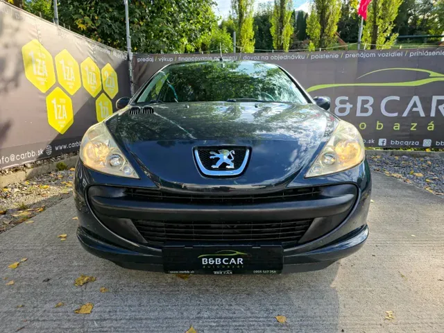 Peugeot 206 2009 photo 2