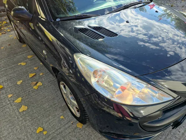 Peugeot 206 2009 photo 4