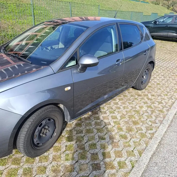 Seat Ibiza 2013 photo 2