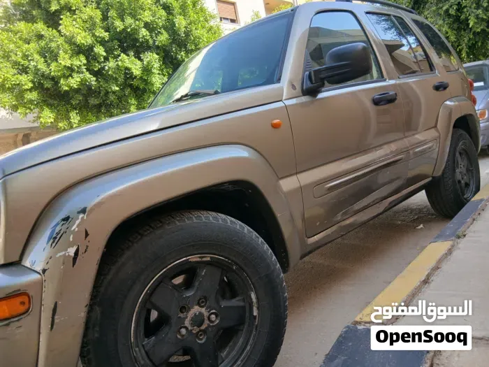 Jeep Liberty 2004 photo 3