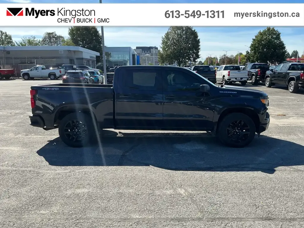Chevrolet Silverado 1500 2022 photo 3