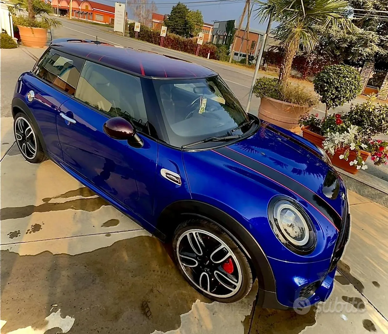 Mini Mini