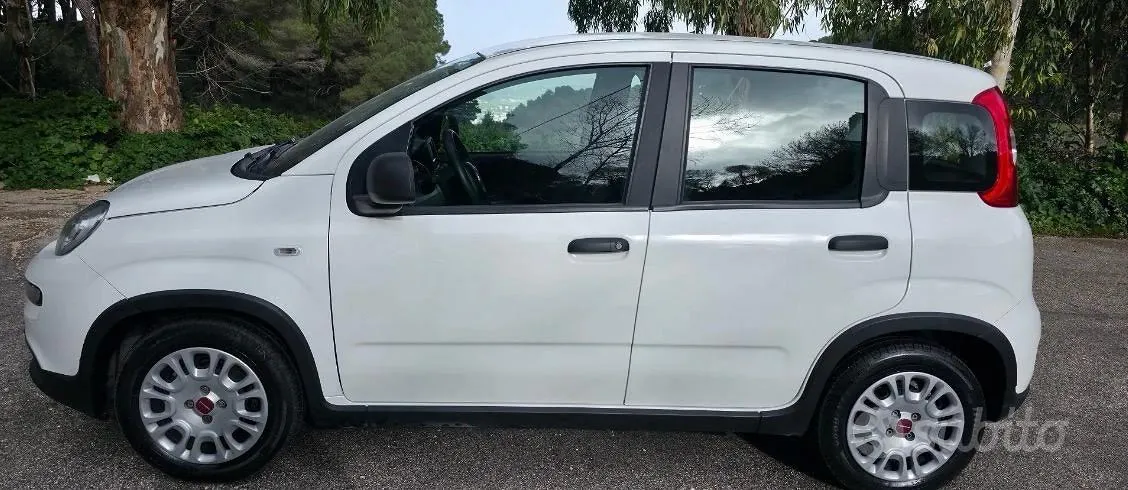 Fiat Panda 2023 photo 2