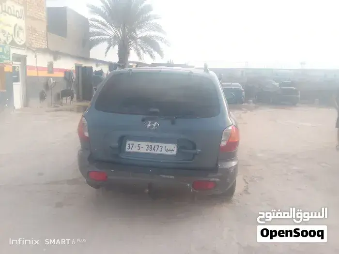 Hyundai Santa Fe 2005 photo 2