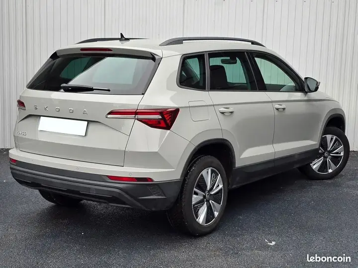 Skoda Karoq 2022 photo 2