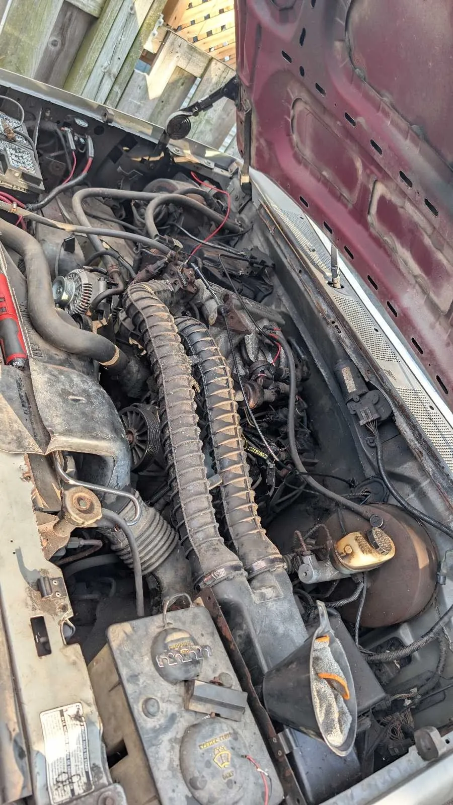 Ford F250 1995 photo 3
