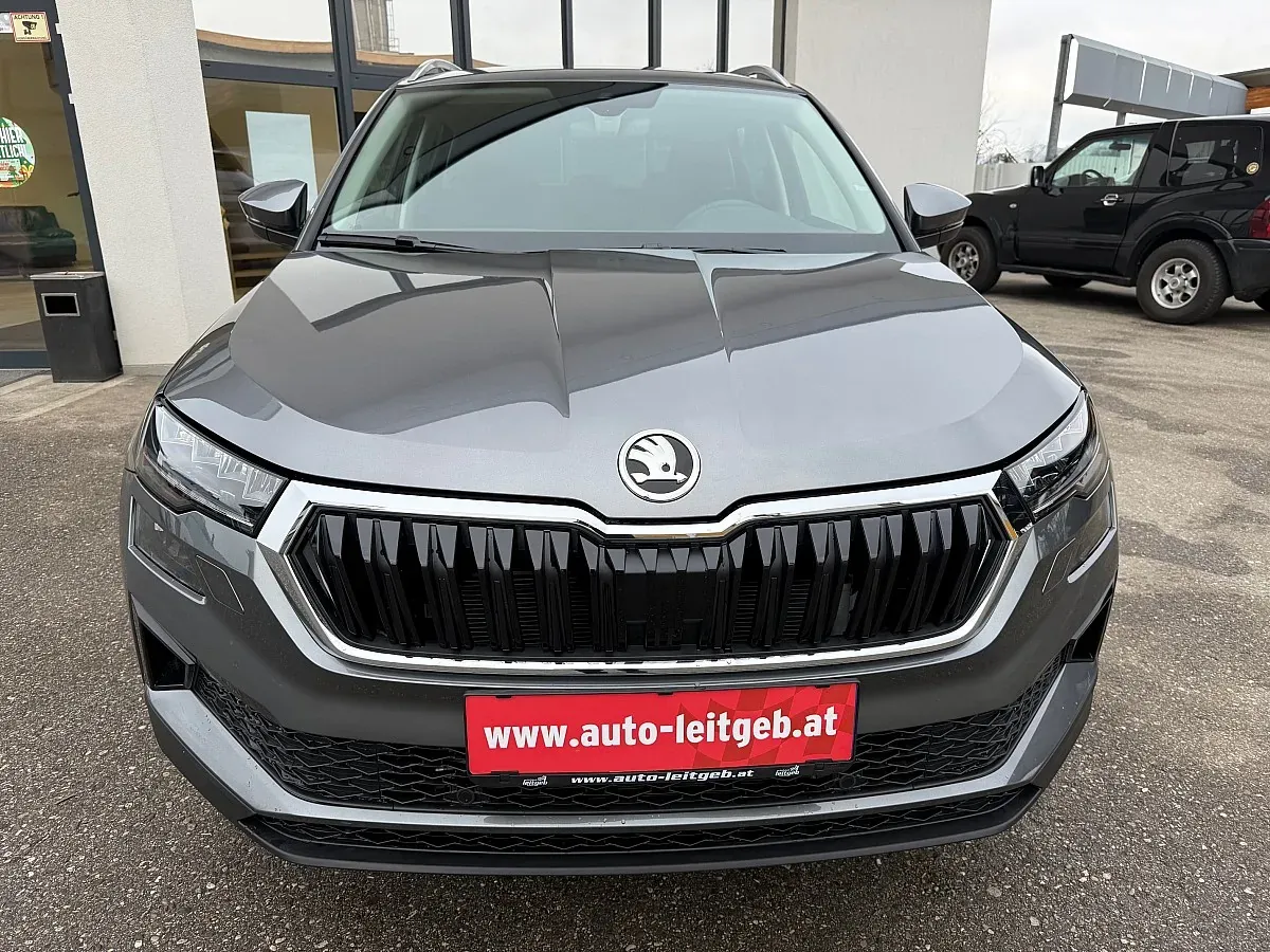 Skoda Karoq 2026 photo 2
