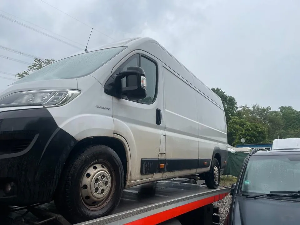 Fiat Ducato Maxi Grossraumkasten