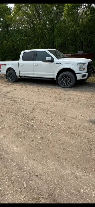 Ford F-150 2015 photo 2