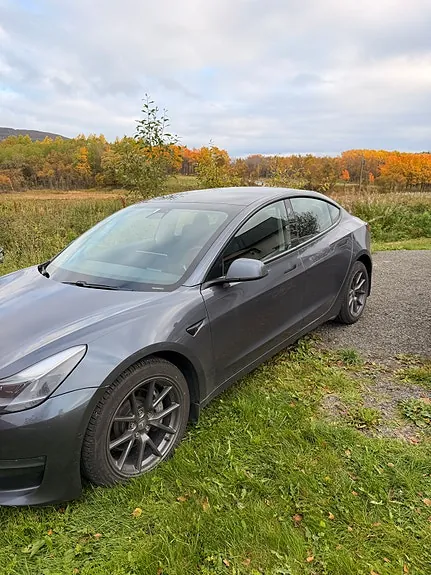 Tesla Model 3 2021 photo 2