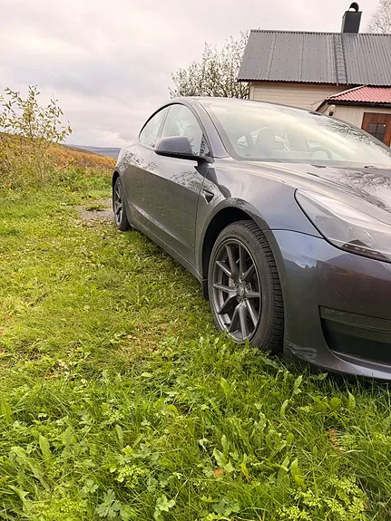 Tesla Model 3 2021 photo 3