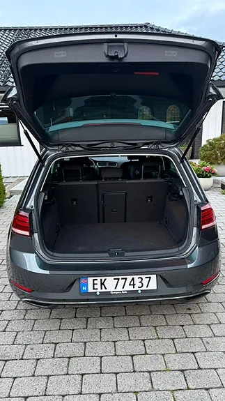 Volkswagen E-Golf Vii 2018 photo 5